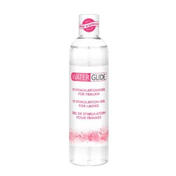 WATERGLIDE GEL ORGASMO DA 300 ML