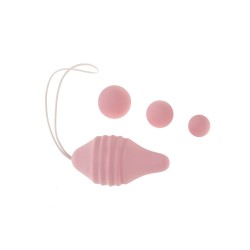 PELVIX CONCEPT