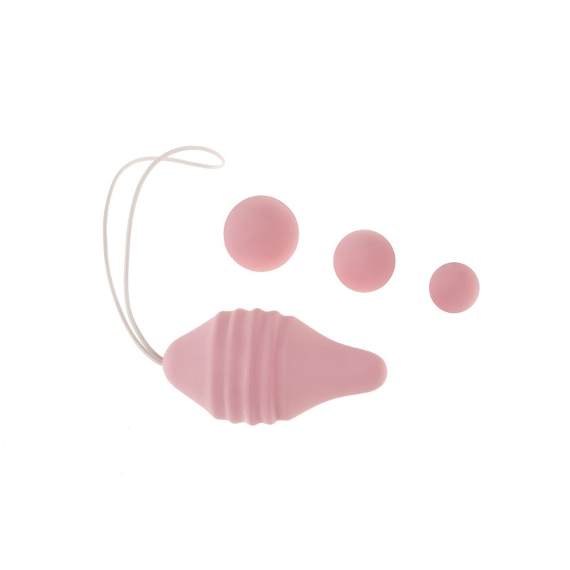 PELVIX CONCEPT