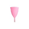 Eve Cup L - Copa Vaginal Silicona Platinum
