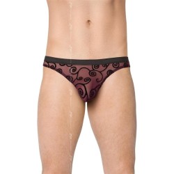 Black Transparency Tnga XL 4522