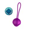Vibrating Ball Set Rechargeable Remote Control 10 FOXSHOW Modes