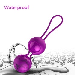 Vibrating Ball Set Rechargeable Remote Control 10 FOXSHOW Modes