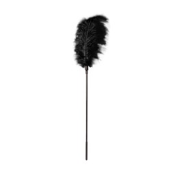 GP Pluma grande Negra