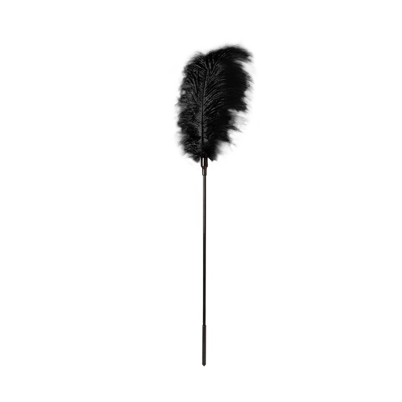 GP Pluma grande Negra