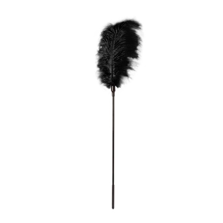 GP Pluma grande Negra