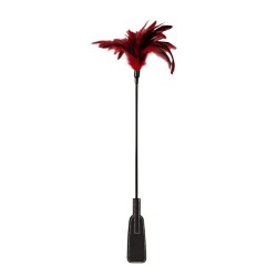 GP Fusta Pluma Roja y Pala Negra