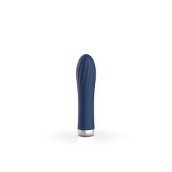 Vibromasseur spiralé rechargeable 7 modes 15.3x2.8 cm Attraction Silver Edition