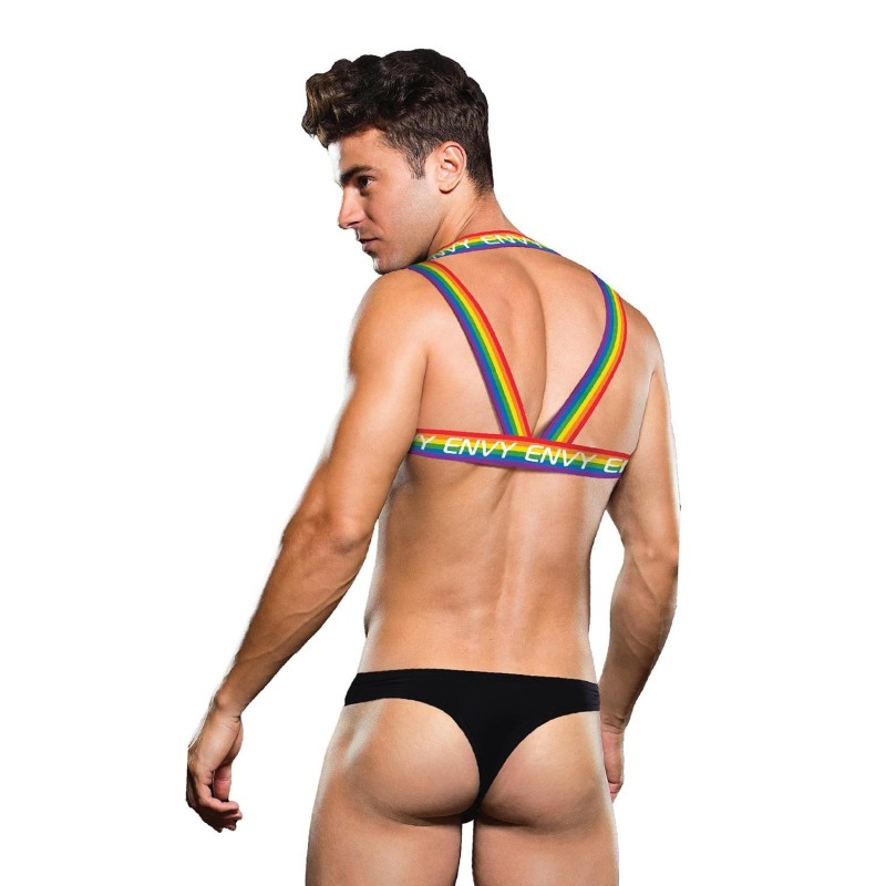Rainbow Logo Envy Harness - Rainbow L/XL
