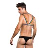 Rainbow Logo Envy Harness - Rainbow L/XL