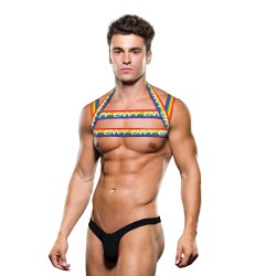 Rainbow Logo Envy Harness - Rainbow L/XL