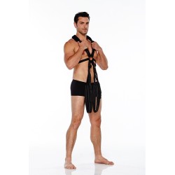 Body Swing - Columpio corporal  Whipsmart