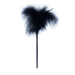 Pluma Negra con varilla