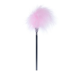 Penna rosa con asta