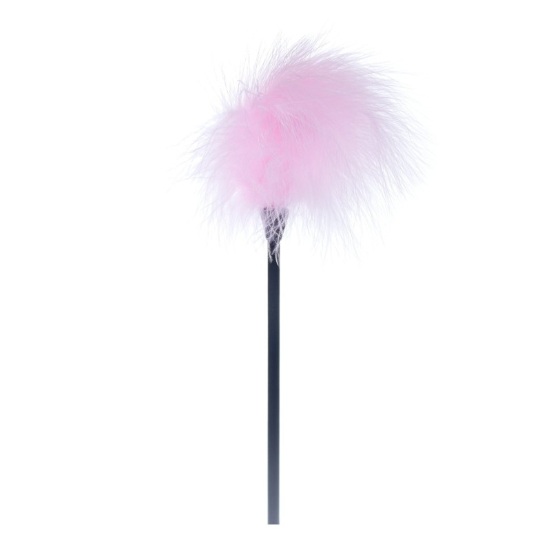 Penna rosa con asta