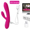 Double vibromasseur violet avec chaleur - Rechargeable 10 modes