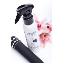 Toy Cleaner 125ml TENTACION Playsex