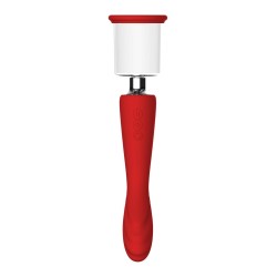 ROTE REVOLUTION GEORGIEN. Vibrator - Absauger, 2 Motoren. Wiederaufladbar