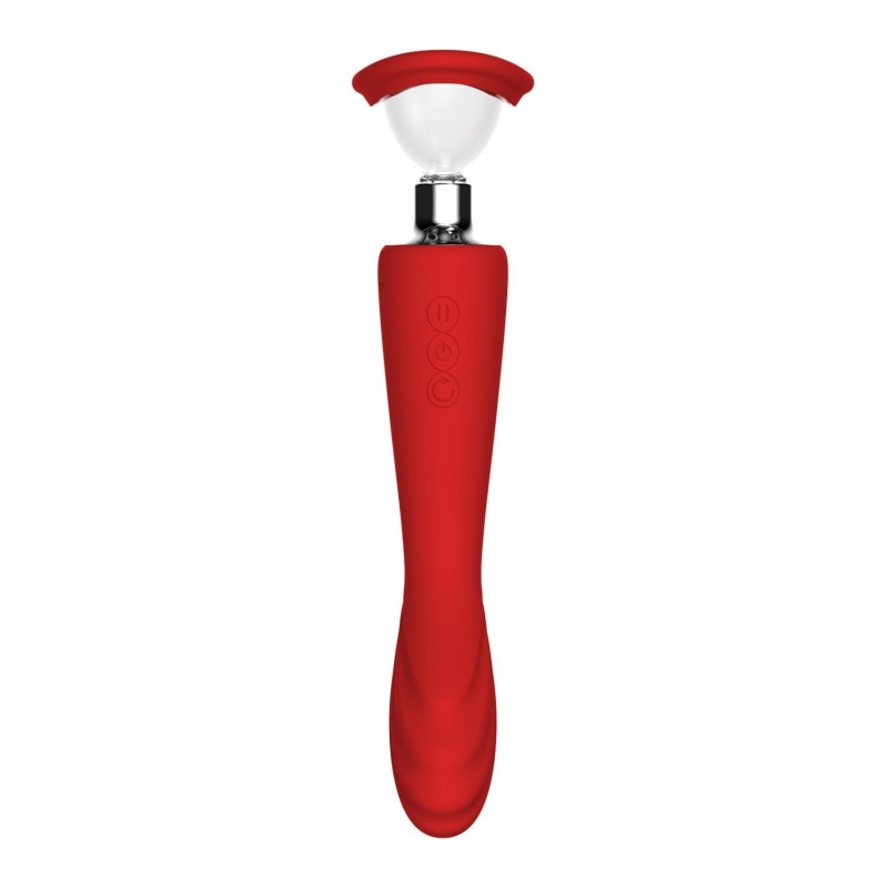 ROTE REVOLUTION GEORGIEN. Vibrator - Absauger, 2 Motoren. Wiederaufladbar