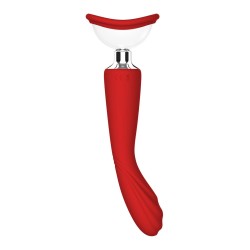 ROTE REVOLUTION GEORGIEN. Vibrator - Absauger, 2 Motoren. Wiederaufladbar