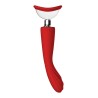 ROTE REVOLUTION GEORGIEN. Vibrator - Absauger, 2 Motoren. Wiederaufladbar