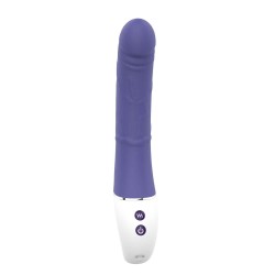 SCHWINGUNGEN DER LIEBE DOPPELTES VERGNÜGEN. Doppelvibrator, 2 Motoren. Wiederaufladbar