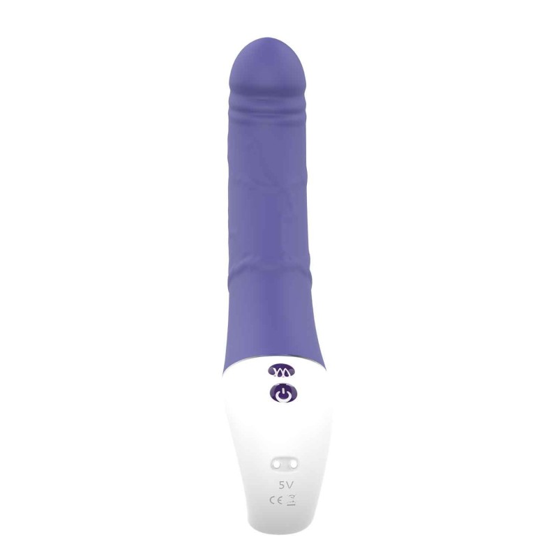 SCHWINGUNGEN DER LIEBE DOPPELTES VERGNÜGEN. Doppelvibrator, 2 Motoren. Wiederaufladbar