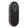 REMOTE SCROTUM TEASER - estimulador de testículos control remoto, vibración - recargable