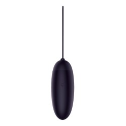 Télécommande rechargeable à oeuf TÉLÉCOMMANDE SOMBRE À DISTANCE