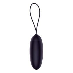 Télécommande rechargeable à oeuf TÉLÉCOMMANDE SOMBRE À DISTANCE
