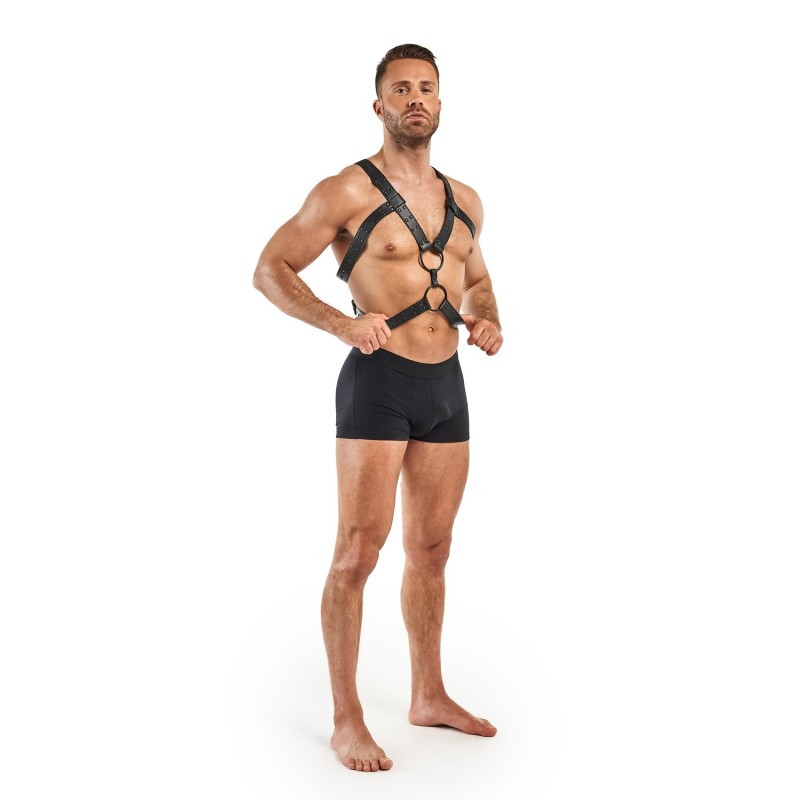 Rocco Bondage Harness - Preto