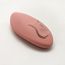 Dingus - Vibratore per uova ricaricabile 10 modalità di controllo remoto