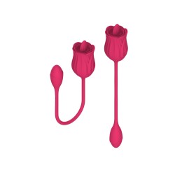 Stimulateur de léchage double - Langue et vibromasseur -10modes - Rechargeable