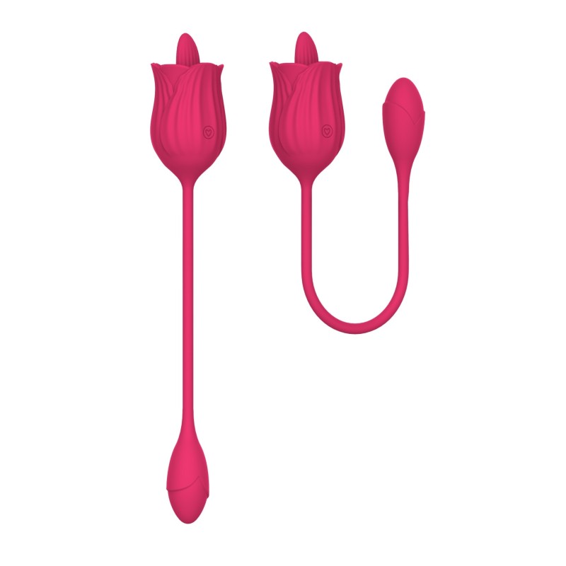 Stimulateur de léchage double - Langue et vibromasseur -10modes - Rechargeable