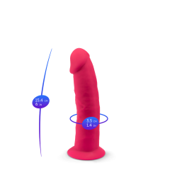 SILEXD Rose MODEL 2 6 Zoll (15cm)