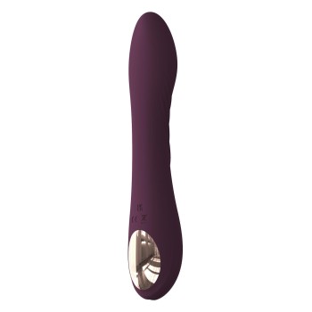 FLEXIBLE KLOPFLEISTUNG. Vibrator und Klopfen, Doppelmotor. Flexibe 2