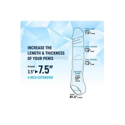Funda 19cm Transparente con sujeción testiculos