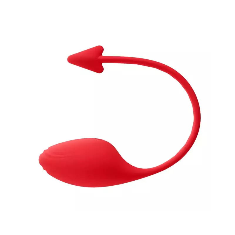 Succube Œuf Vibrant Rechargeable avec APP