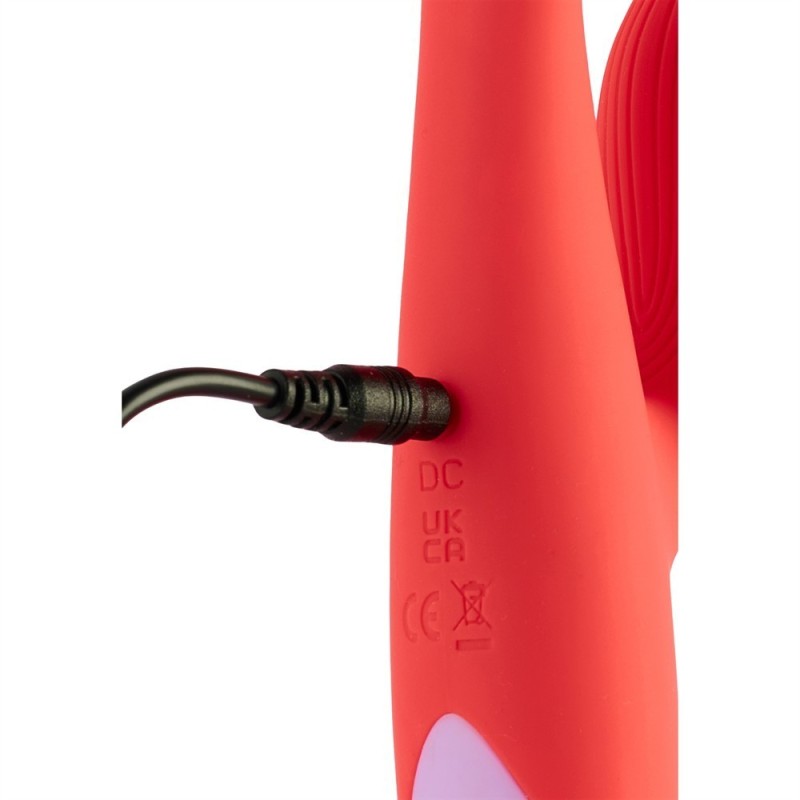Double Battement - Double Vibromasseur Rechargeable 10 modes
